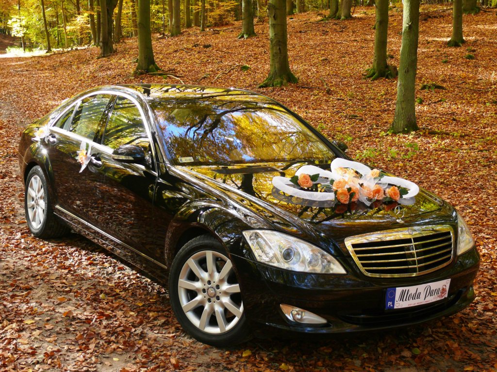 Czarna limuzyna Mercedes udekorowana kwiatami i wstążkami, zaparkowana na leśnej drodze pokrytej opadłymi liśćmi.