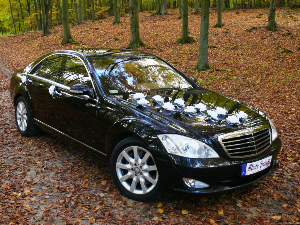 Auto Do Ślubu, Samochód Do Ślubu, Szczecin