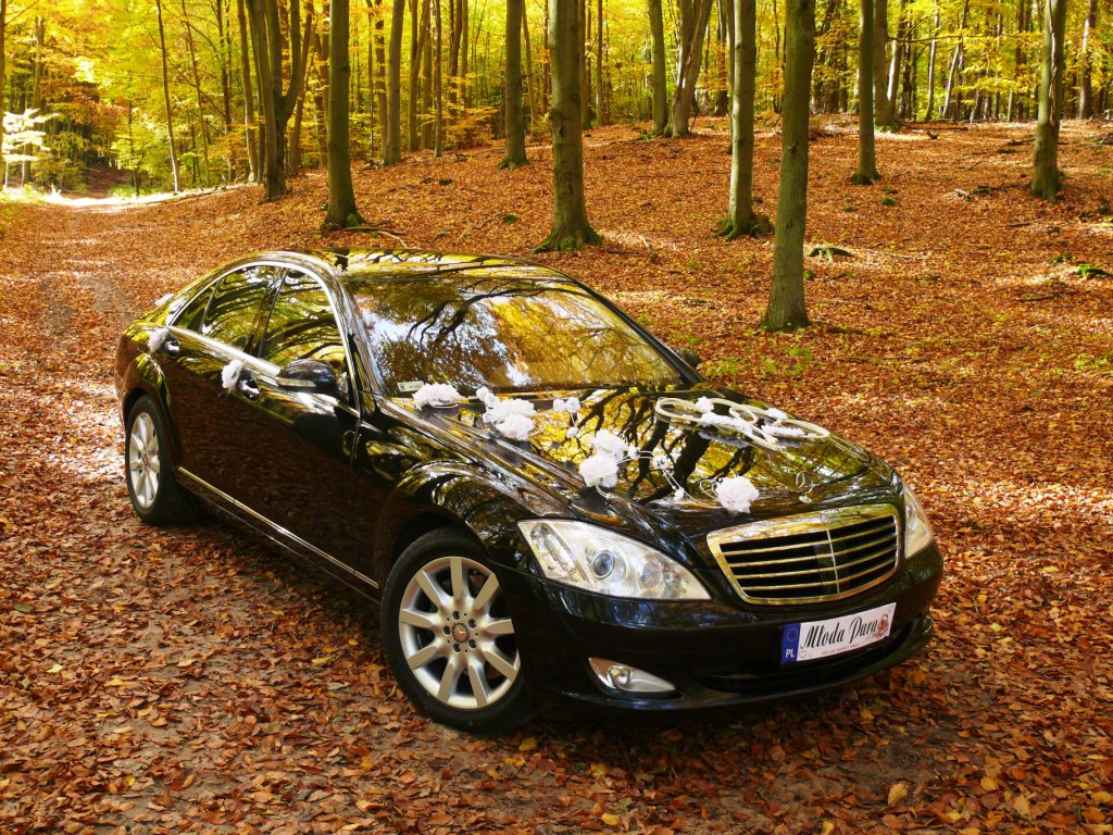 Czarna limuzyna Mercedes udekorowana białymi kwiatami i wstążkami, zaparkowana na leśnej drodze usłanej opadłymi liśćmi, jesienna sceneria.