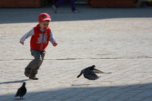 Czyszczenie kostki brukowej i impregnacja kamienia