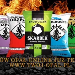 Grafika promocyjna prezentująca pięć worków ekogroszku różnych marek (Orzeł, Skarbek, Ełko) na tle płomieni i hałdy węgla, zachęcająca do zakupu online na stronie Twoj-Opal.pl.