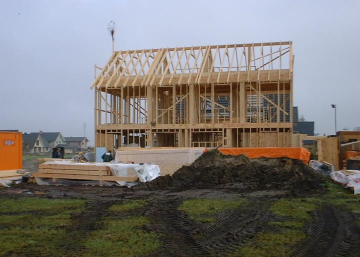 Konstrukcja szkieletowa domu