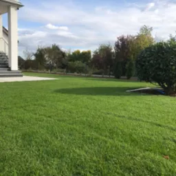 Świeżo założony trawnik z rolki przy nowoczesnym domu z szarymi schodami, widoczny system nawadniania pod drzewem, w tle ogrodzenie panelowe i drzewa.