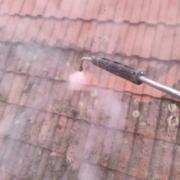 Pielęgnacja ogrodów Tarnobrzeg 4