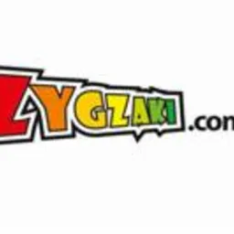 Kolorowe logo firmy ZayGzaki.com.pl z czerwoną literą Z, żółtą literą Y i zieloną resztą napisu, umieszczone na białym tle.