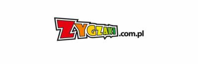 Kolorowe logo firmy ZayGzaki.com.pl z czerwoną literą Z, żółtą literą Y i zieloną resztą napisu, umieszczone na białym tle.