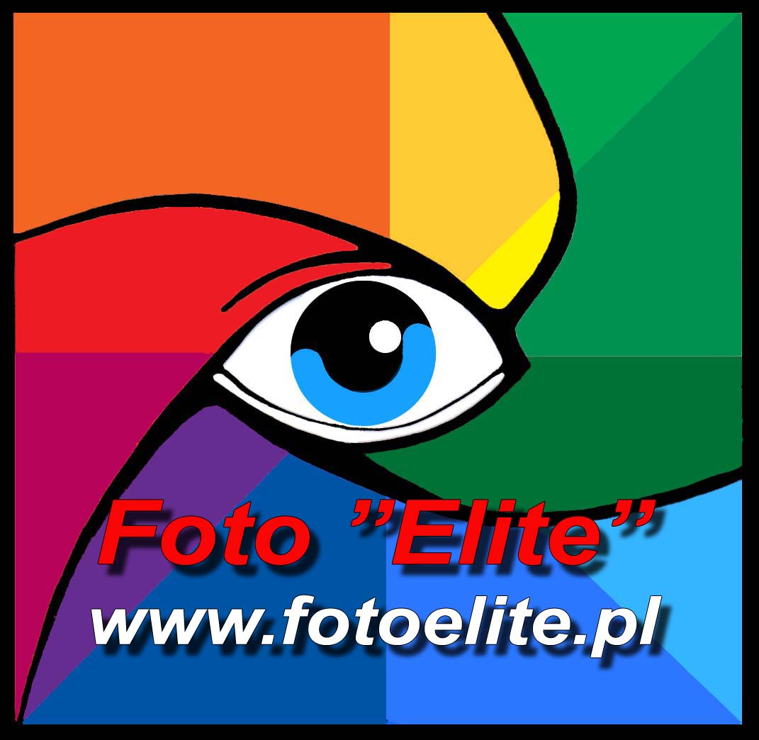 Filmy z imprez plenerowych, rodzinnych ( śluby ,komunie,zjazdy )