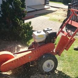 Parki, ogrody, rezerwaty Międzychód 4