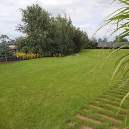 CZARNY - Projektowanie Trawników Czyżewo