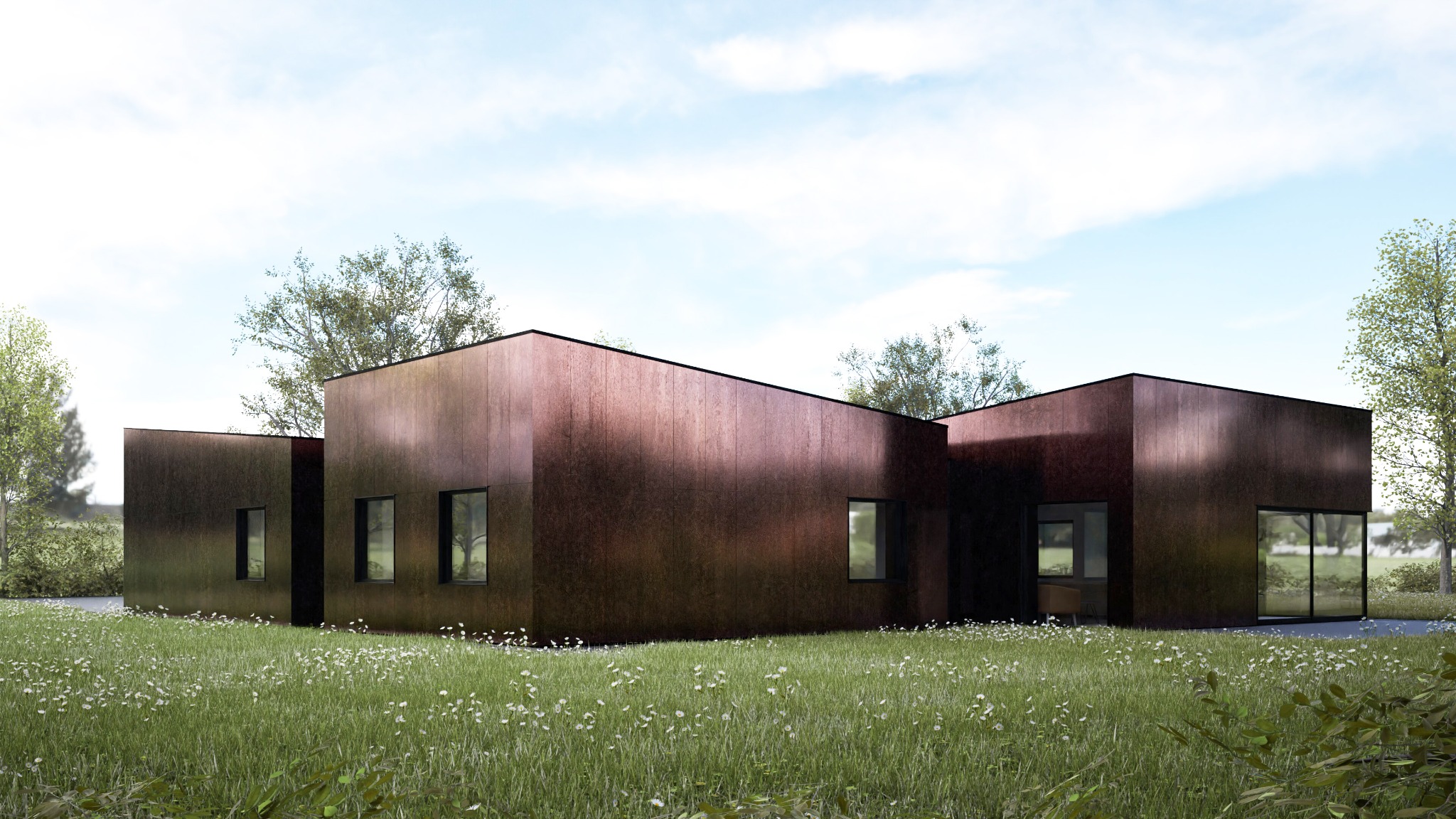 Wizualizacja nowoczesnego budynku jednorodzinnego z elewacją w odcieniach brązu, otoczonego kwitnącą łąką i drzewami liściastymi.