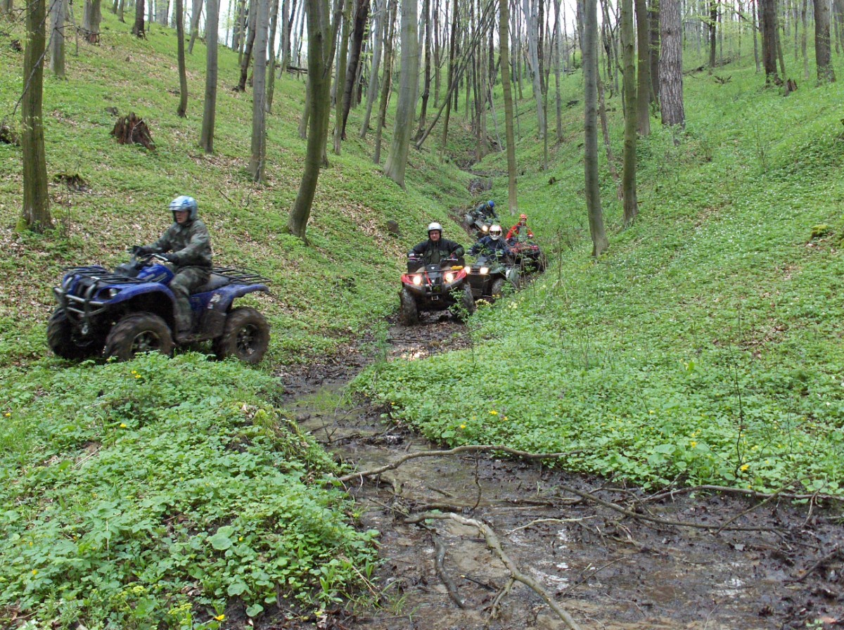 Grupa osób na quadach przemierza błotnisty leśny teren z młodymi drzewami i runem, w tle widać strome zbocze porośnięte zielenią. Jeden z quadów jest koloru niebieskiego, a pozostałe czerwone.