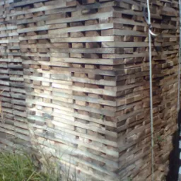 Parkiet z orzecha włoskiego