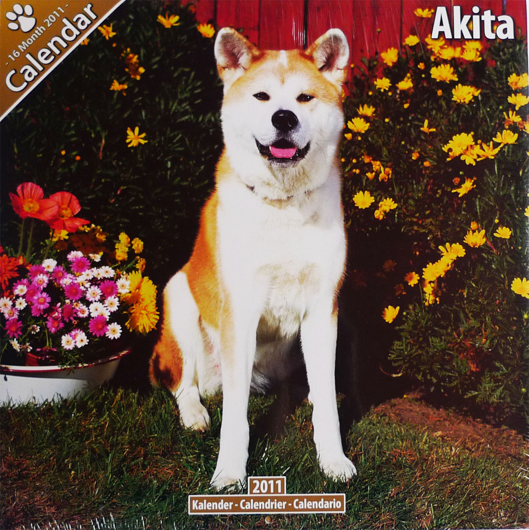 Zdjęcie okładki kalendarza na rok 2011 z psem rasy Akita siedzącym na tle kwiatów i zieleni.