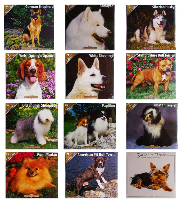 Kolekcja kalendarzy ściennych z 2011 roku, każdy przedstawiający inną rasę psa: owczarek niemiecki, samoyed, husky syberyjski, spaniel walijski, owczarek biały, staffordshire bull terrier, old...