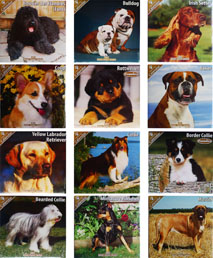 Klendarze ścienne firmy Avonside