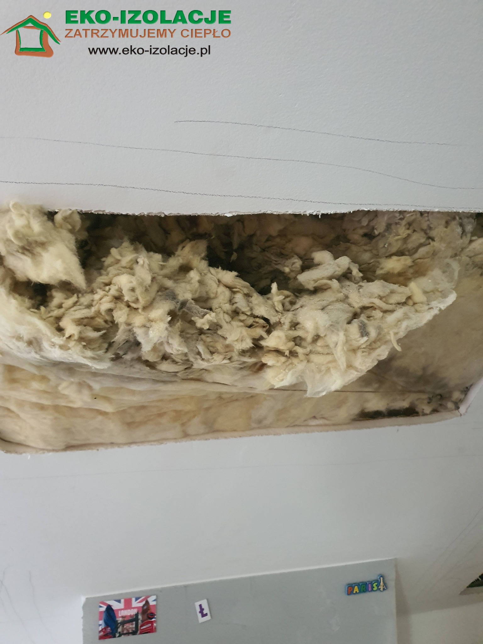 Zniszczona wełna mineralna przez kunę