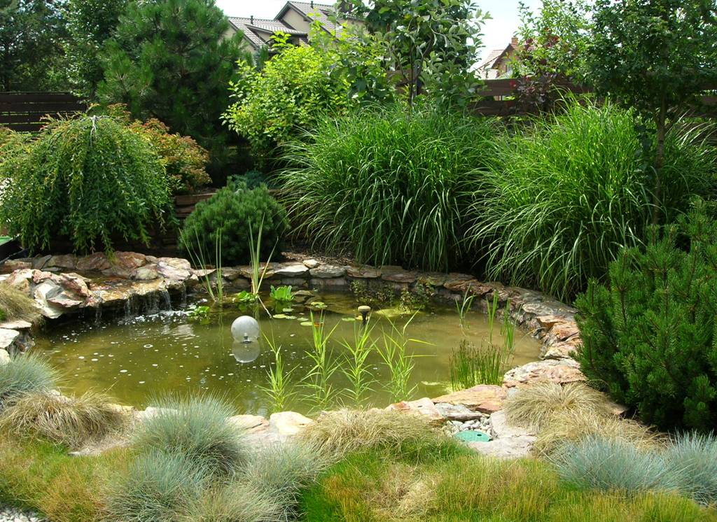 Oczko wodne z kaskadą otoczone różnorodną roślinnością ogrodową: trawy ozdobne, krzewy iglaste i liściaste, kamienie. W tle drewniane ogrodzenie i fragment budynku.
