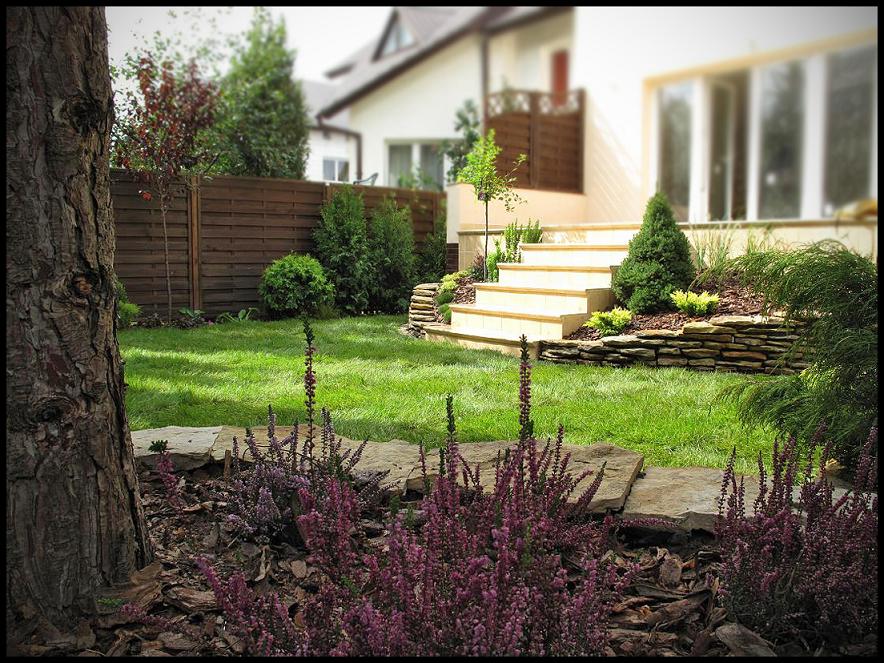 Urzekający ogród przydomowy z trawnikiem, rabatami z wrzosami, kamiennymi ścieżkami i schodami prowadzącymi do domu, otoczony drewnianym płotem.