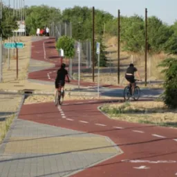 Czerwona ścieżka rowerowa z białymi liniami, wijąca się przez park. Dwie osoby jadą na rowerach, otoczone zielenią i drzewami. Słoneczny dzień.