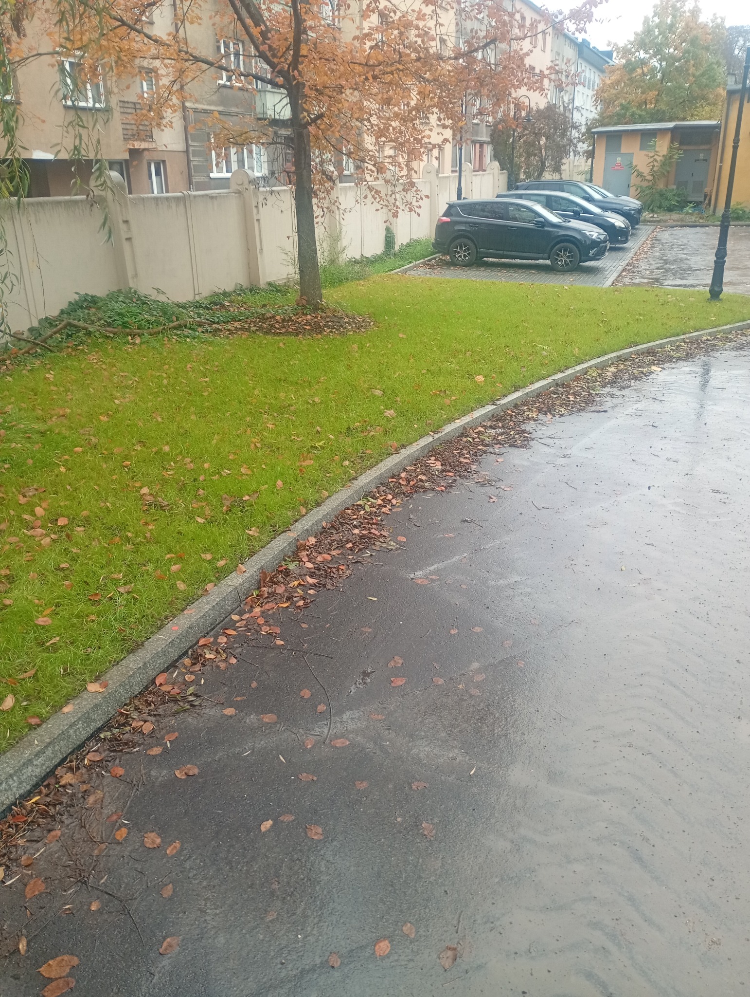 Jesienny widok na parking z kostki brukowej, z trzema zaparkowanymi samochodami i trawnikiem. Liście opadłe na mokrą nawierzchnię. Szary betonowy krawężnik.