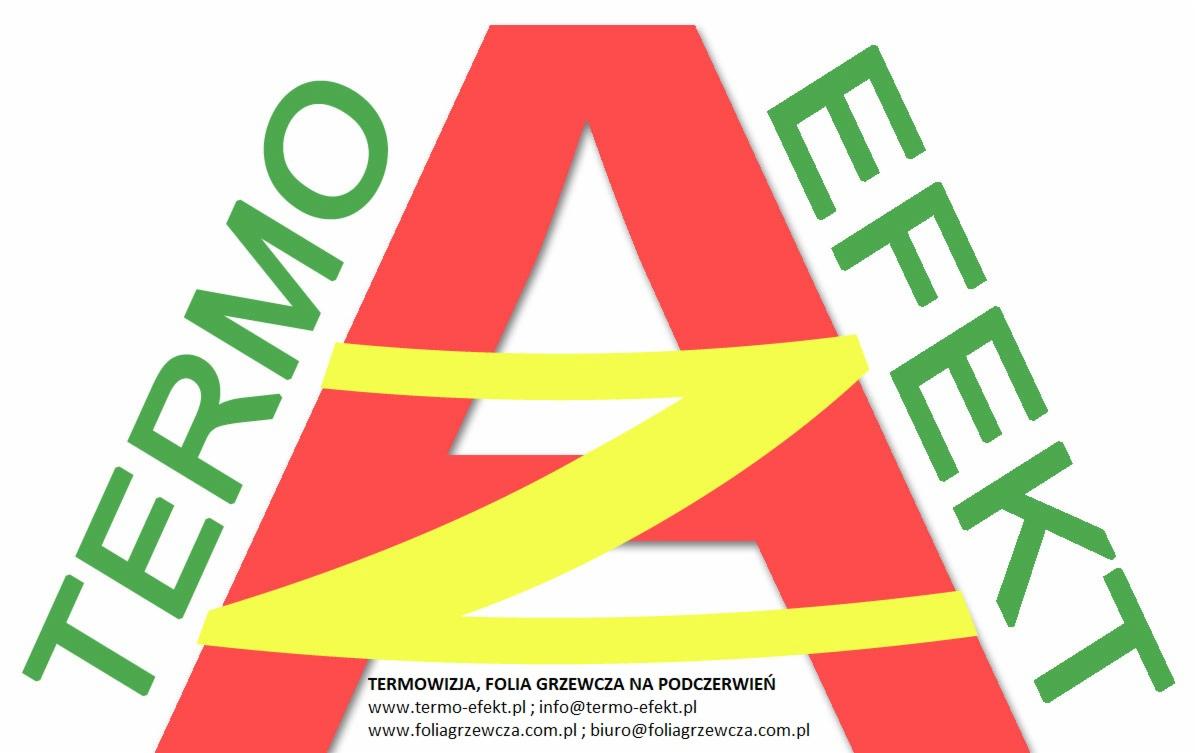 Graficzne logo firmy z czerwonym kształtem litery A, zielonym napisem TERMO EFEKT i żółtym paskiem, adresami stron internetowych i e-mail na dole.