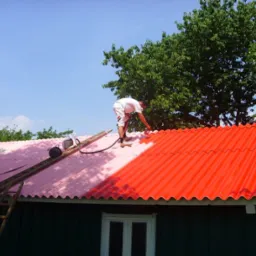 Malowanie dachów / rynien / podbitek - Starogard / trójmiasto