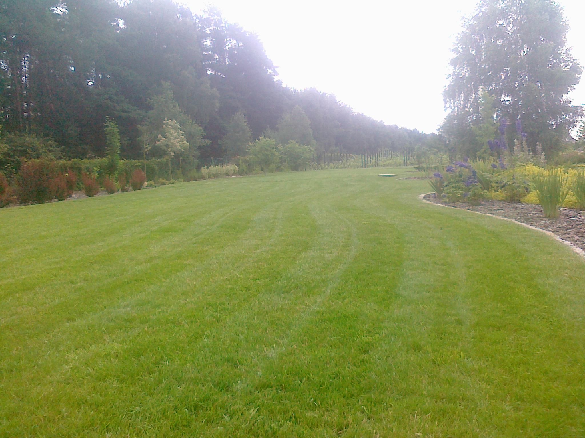 Pielęgnacja zieleni