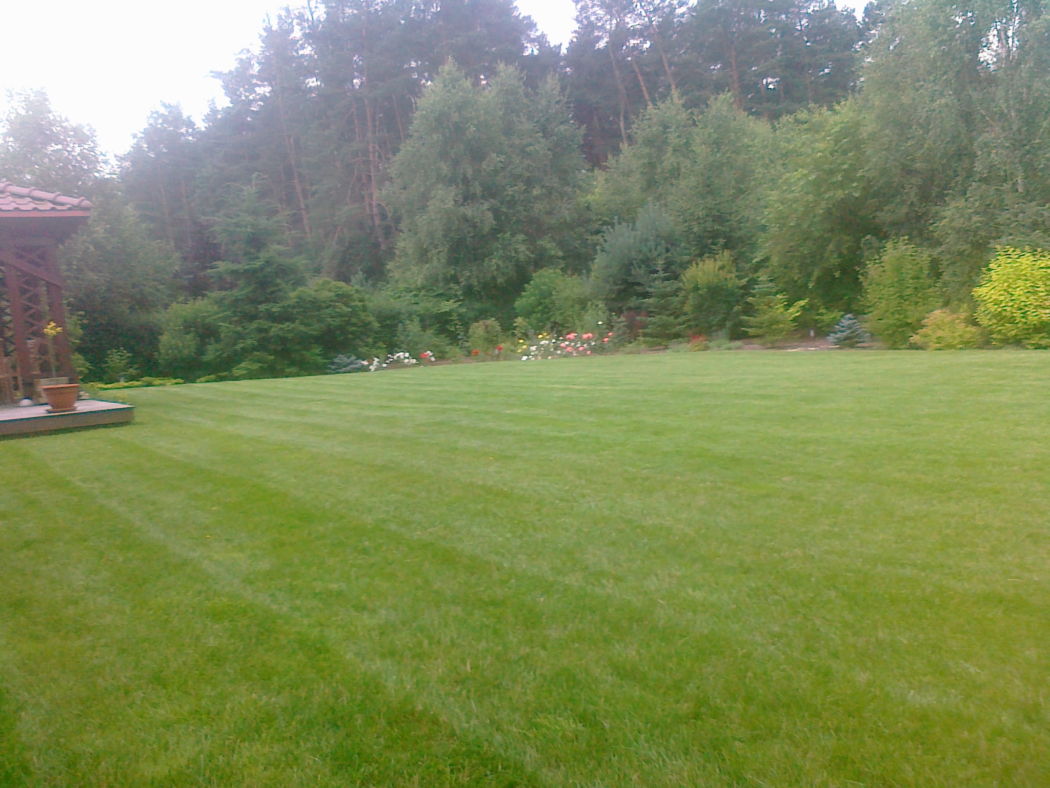 Perfekcyjnie przystrzyżony trawnik z widocznymi pasami, otoczony różnorodną roślinnością, w tle gęsty las iglasty i drewniana altana z donicą.