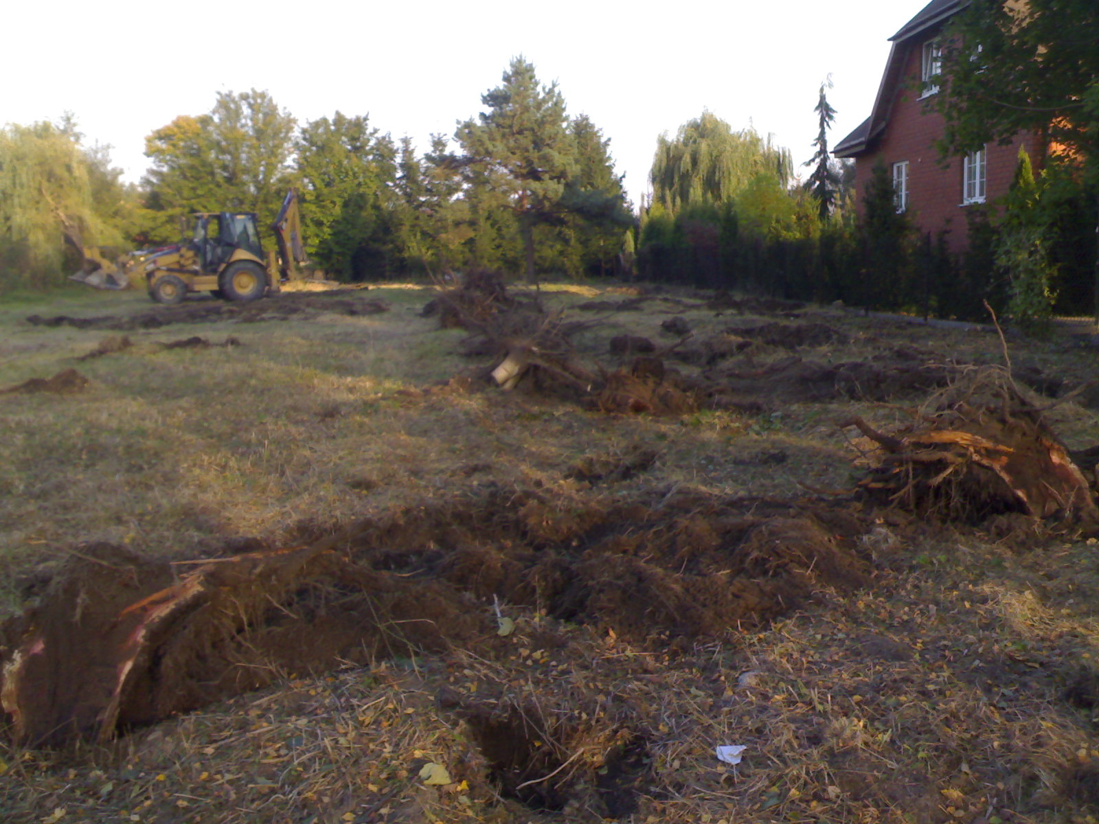 Teren po wycince drzew z widocznymi korzeniami i śladami pracy koparki, w tle drzewa i budynek mieszkalny.