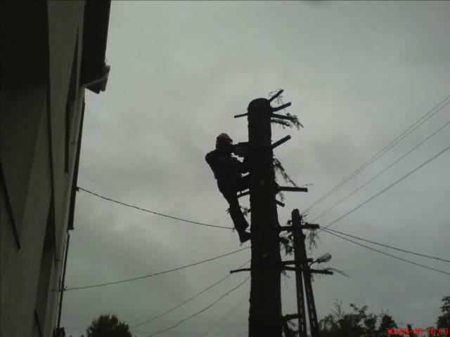 Pracownik w kasku, w trakcie usuwania gałęzi z wysokiego drzewa, stojącego obok budynku i linii energetycznych, pochmurny dzień.