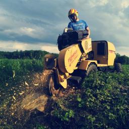 Parki, ogrody, rezerwaty Wołów 2