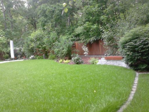 Zadbany trawnik z rolki, obrzeża z kostki, krzewy i drzewa w tle. Widok na ogród z bliska, z elementami małej architektury.