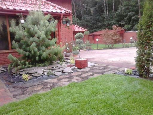 Ogród z trawnikiem i ścieżką z kamieni prowadzącą do budynku z czerwoną dachówką. Widoczne ozdobne drzewa i krzewy, całość tworzy harmonijny krajobraz.