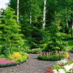 Ogród z brukowaną ścieżką, różnorodną roślinnością, w tym iglaki, drzewa liściaste, kolorowe kwiaty i oczko wodne, oświetlony naturalnym światłem słonecznym.