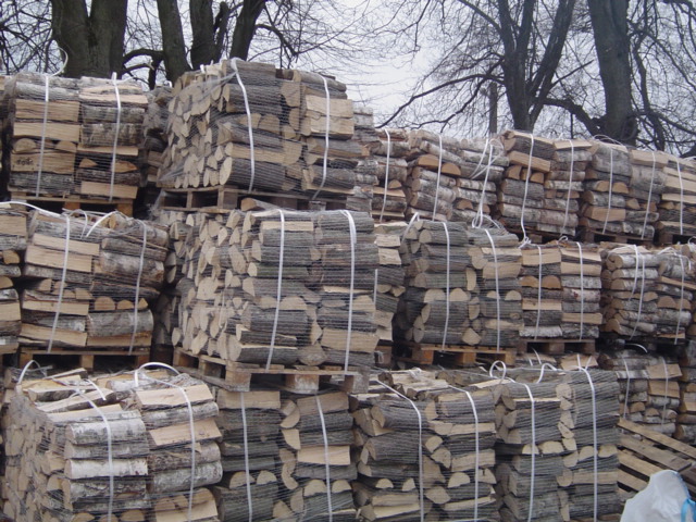 Ułożone na paletach i zabezpieczone siatką pakiety drewna kominkowego, widoczne pnie brzozy i dębu, tło stanowią nagie drzewa.