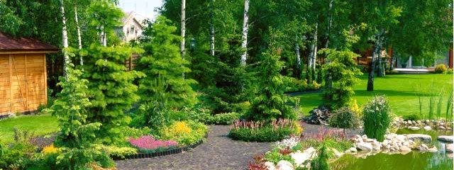 Ogród z brukowaną ścieżką, różnorodną roślinnością, w tym iglaki, drzewa liściaste, kolorowe kwiaty i oczko wodne, oświetlony naturalnym światłem słonecznym.