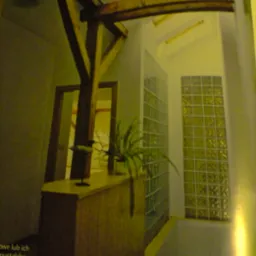 Wnętrze z drewnianą konstrukcją stropu, ścianą z luksferów i roślinami doniczkowymi na drewnianej zabudowie, doświetlone światłem z okien dachowych.