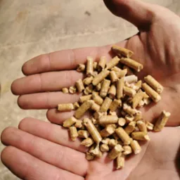 Dłoń trzymająca garść jasnych, drewnianych peletek na rozmytym, betonowym tle.