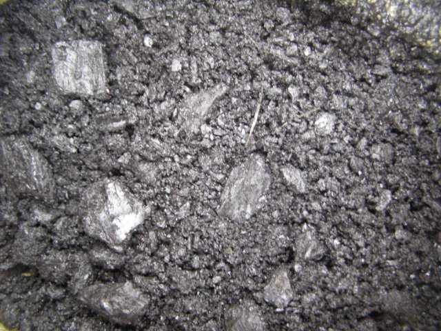 Zdjęcie z bliska przedstawia drobny, czarny miał węglowy z widocznymi, większymi bryłkami i pojedynczym źdźbłem trawy.