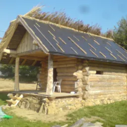 Mała drewniana chatka z bali, z kamienną podmurówką i strzechą częściowo zakrytą czarną folią, w tle pole i drzewa.