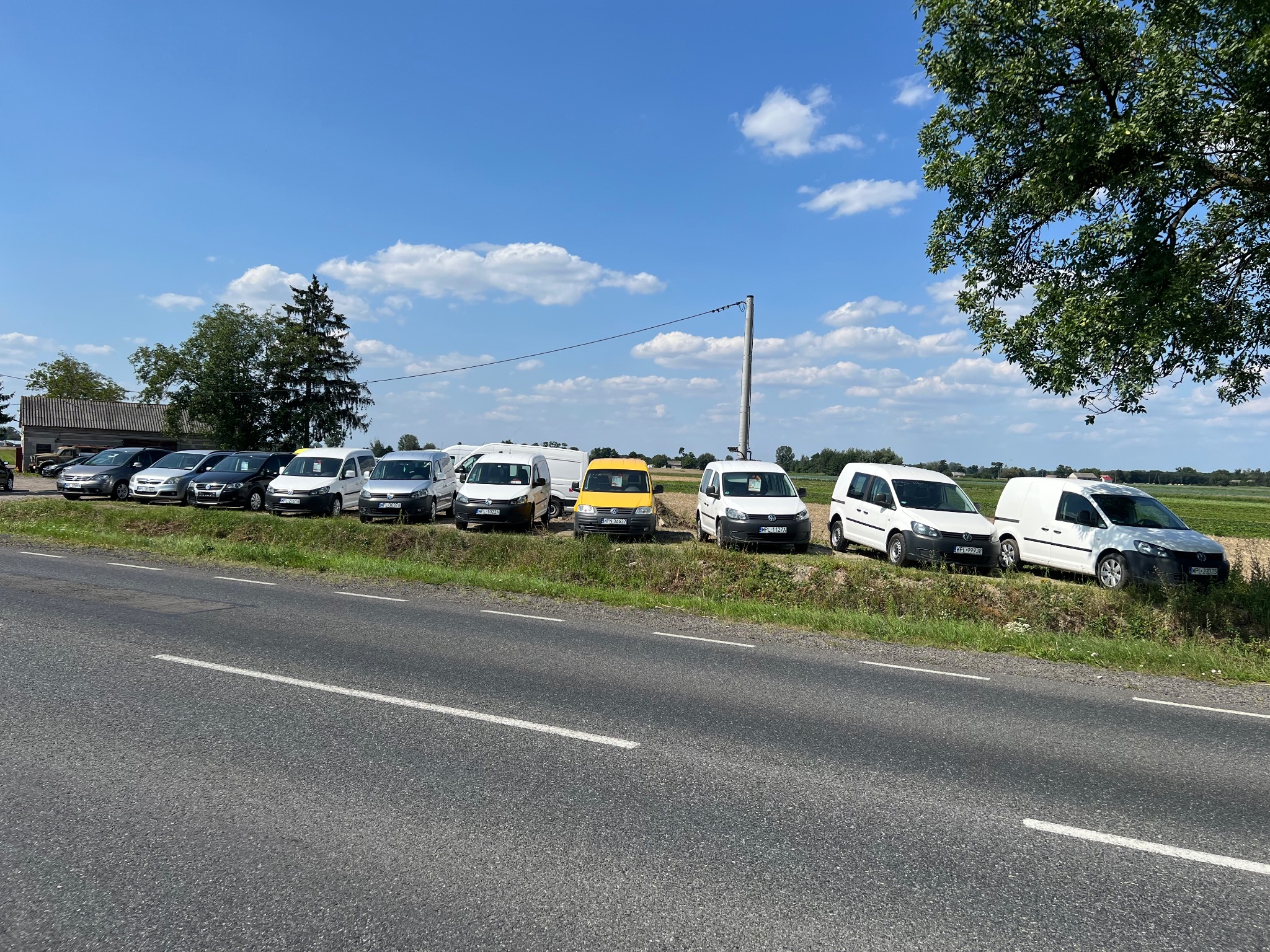 Rząd zaparkowanych busów różnych marek i kolorów wzdłuż drogi, w tle pola uprawne i błękitne niebo z chmurami. Jeden żółty bus wyróżnia się na tle pozostałych.