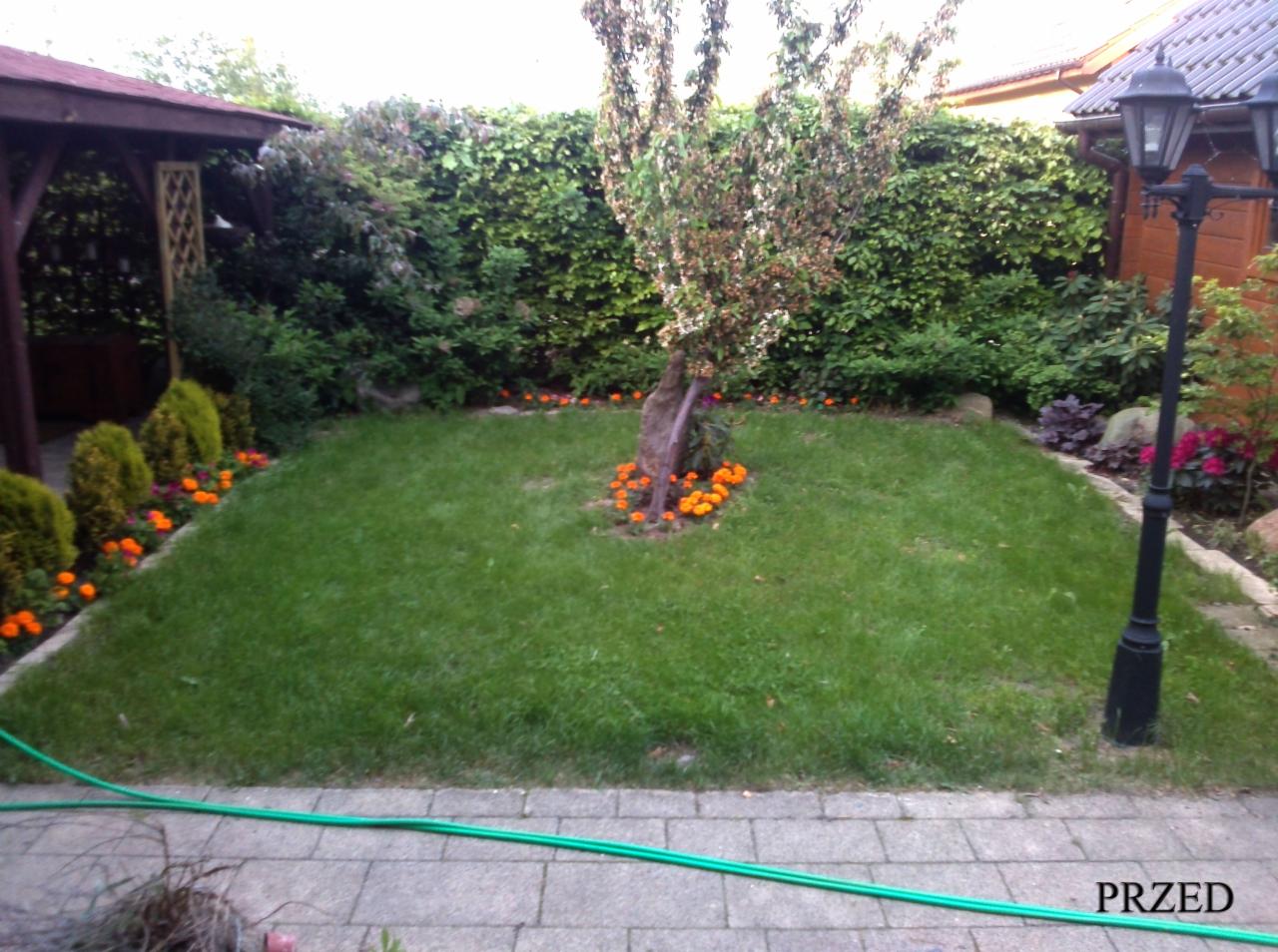 Uporządkowany ogród z równo przystrzyżonym trawnikiem, obrzeżami z kostki, rabatami kwiatowymi z pomarańczowymi aksamitkami, żywopłotem z bluszczu i małą architekturą ogrodową w tle.