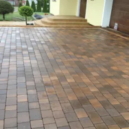 Nowo ułożona, dwukolorowa nawierzchnia z kostki brukowej prowadząca do wejścia domu z drewnianymi drzwiami i schodami z kostki, widoczne drzewa ozdobne i butelka wody przy garażu.