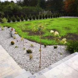 Świeżo założony trawnik z młodymi drzewkami, podsypany białym grysem, widok z góry schodów wejściowych.