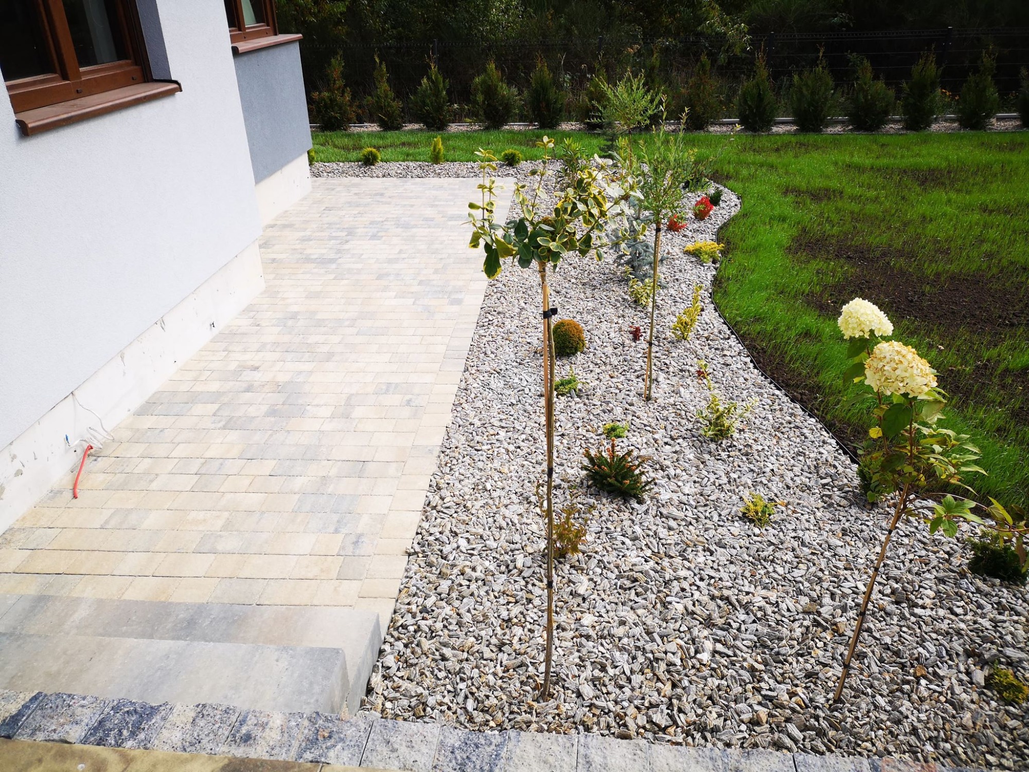 Ułożona kostka brukowa prowadząca do domu, obok rabata wysypana drobnym kamieniem z nasadzeniami: niskie drzewka, krzewy i trawa, widok z góry.