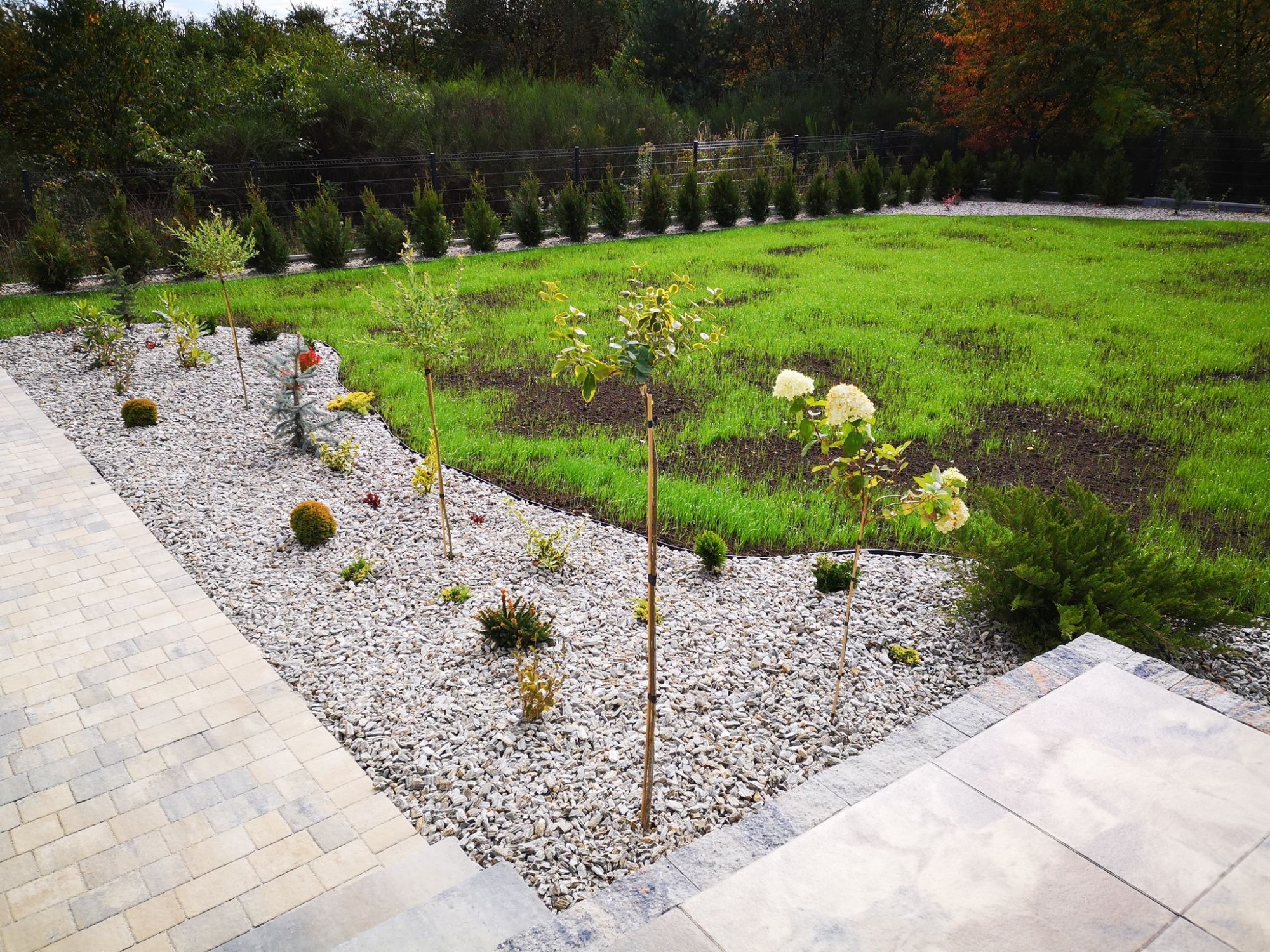 Świeżo założony trawnik z młodymi drzewkami, podsypany białym grysem, widok z góry schodów wejściowych.