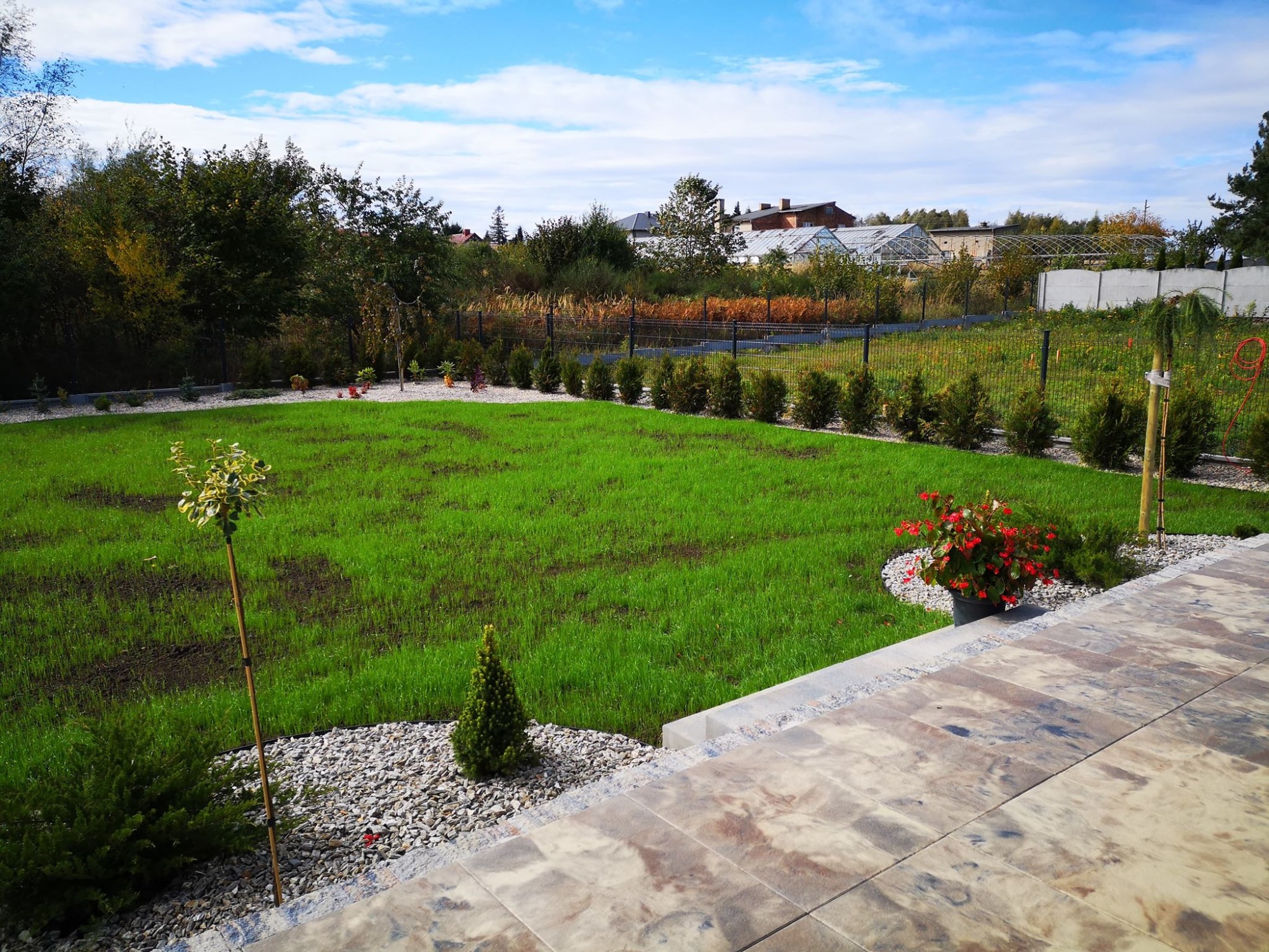 Świeżo założony trawnik z młodymi drzewkami, obrzeżem z kamyków i wyłożoną kostką ścieżką, widok na ogrodzenie i zabudowania w tle, błękitne niebo z chmurami.