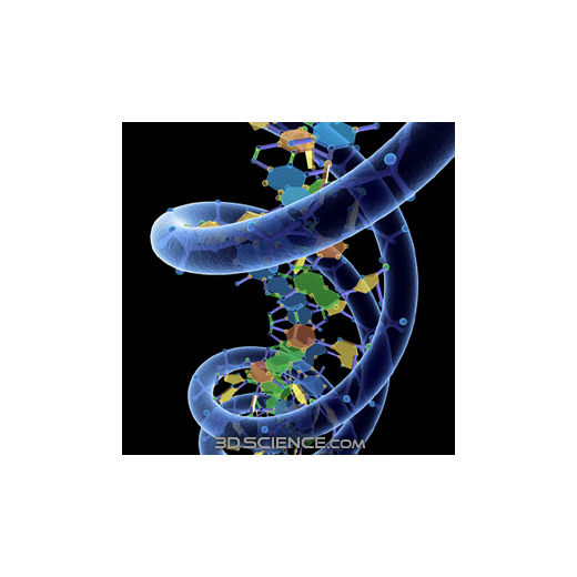 ulotki, wizytówki, kalendarze, foldery