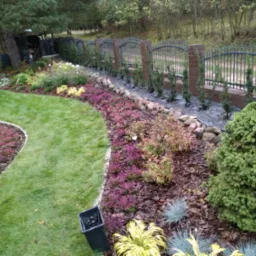 Starannie zaprojektowany ogród z równo przystrzyżonym trawnikiem, rabatami z wrzosami i ozdobnymi krzewami, ogrodzony niskim murem z metalowym płotem, młode tuje posadzone wzdłuż płotu.