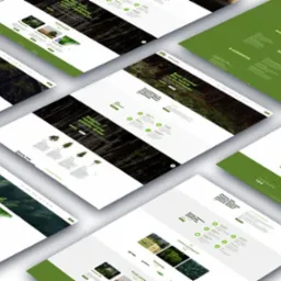 Układ kilku ekranów komputerowych prezentujących responsywny projekt strony internetowej z motywem leśnym, utrzymany w zielono-białej kolorystyce, z widocznym logotypem drzewa i sekcjami...